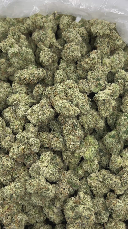 White Cherry Freeze THCA Flower