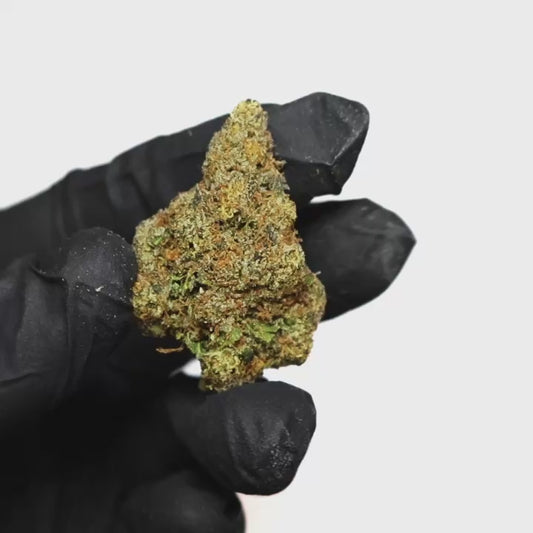 Durban Poison