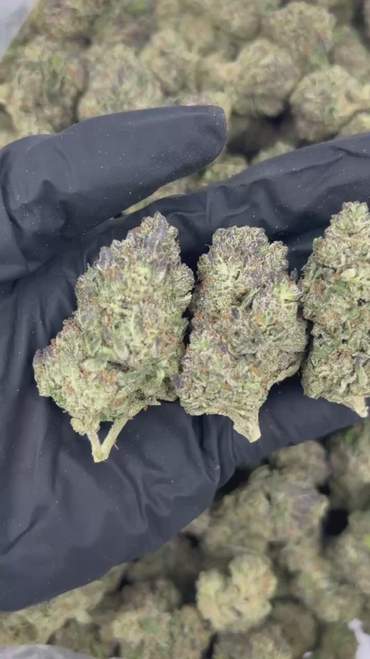 Wedding Cake THCA Flower