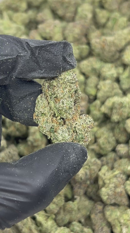 Candy Zerbert THCA Flower