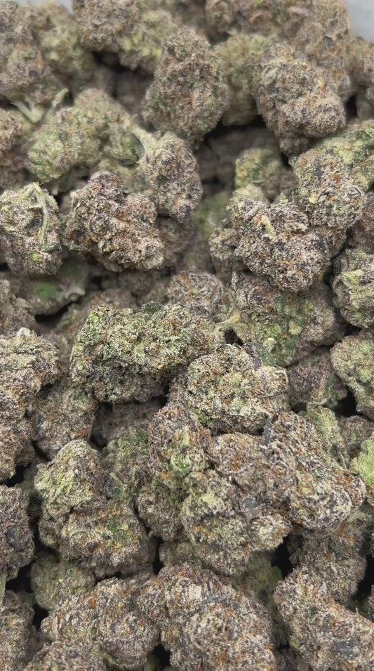 Pina Colada Sorbet THCA Flower