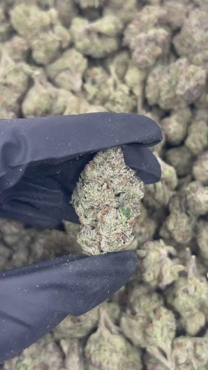 Candy Jam THCA Flower