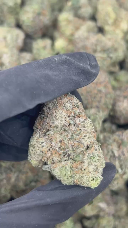 Bubblegum Popperz THCA Flower