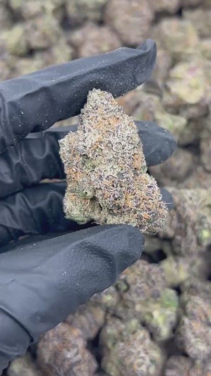 Pink Guavalato THCA Flower