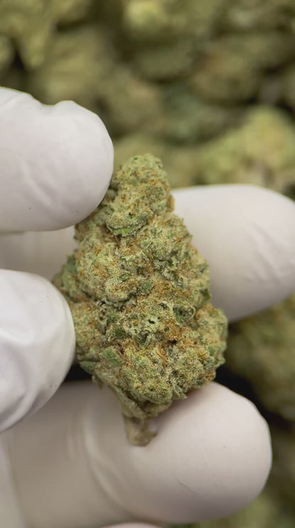 Banana OG