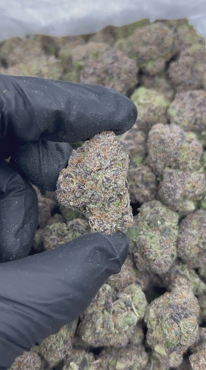 Very Berry Extreme THCA Flower