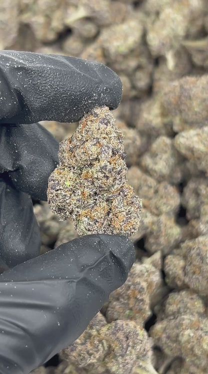 Grape Crush THCA Flower