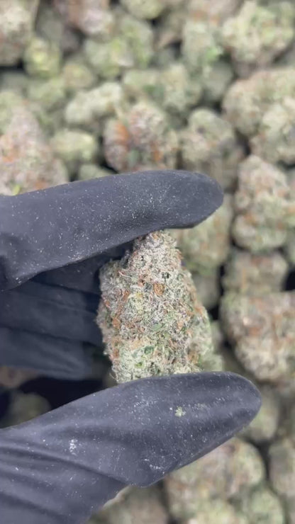 Tropical Zlushee THCA Flower