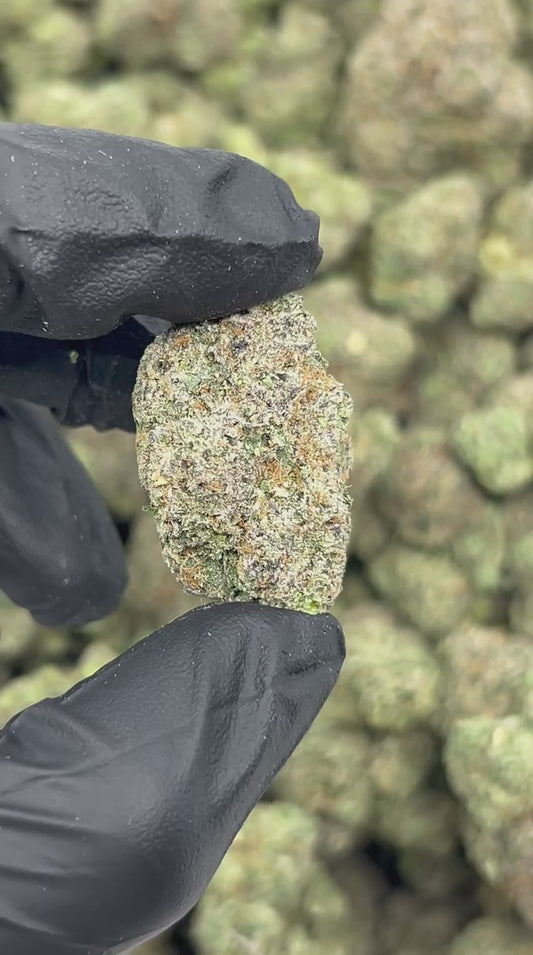 Girl Scout Doobies THCA Flower