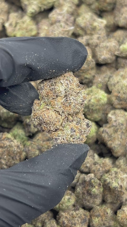 Purple Smuckerz THCA Flower