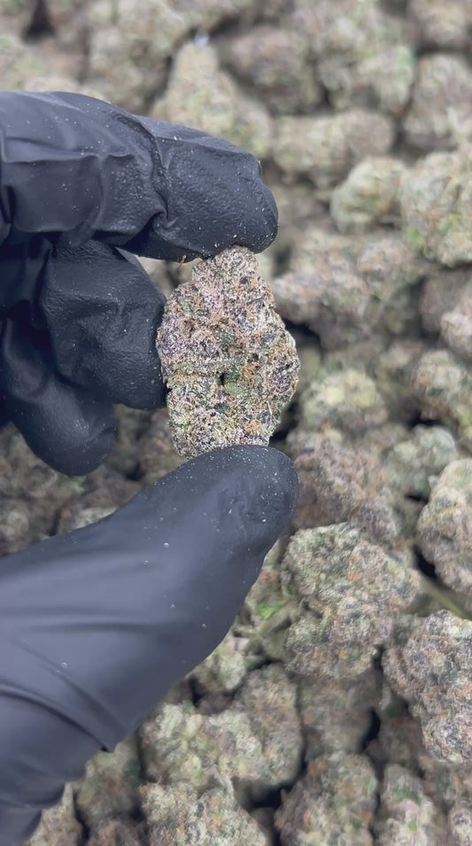 Watermelon Zlurpi THCA Flower