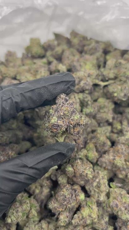 Tropicana Cherriez THCA Flower