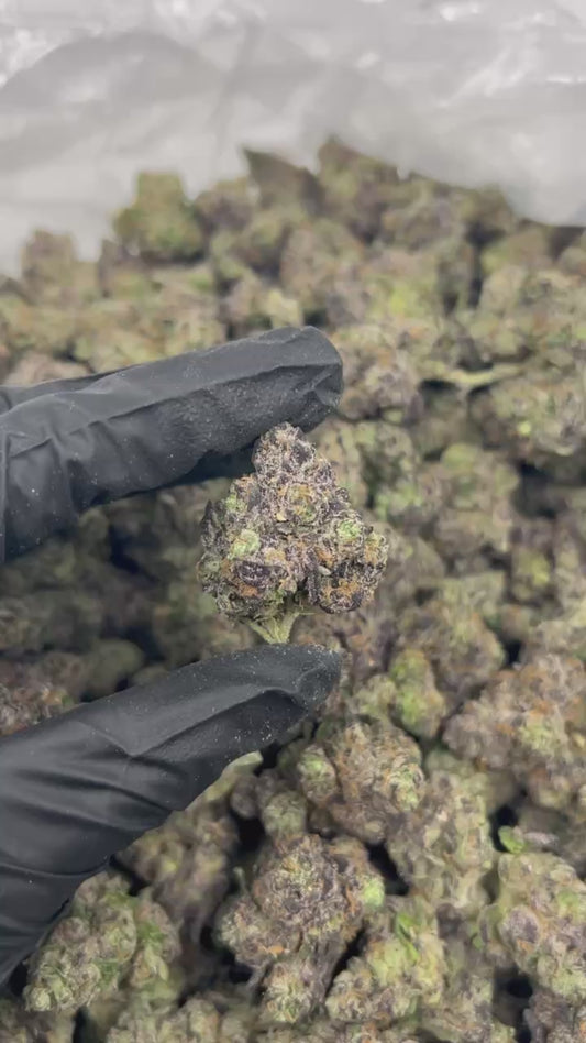 Tropicana Cherriez THCA Flower