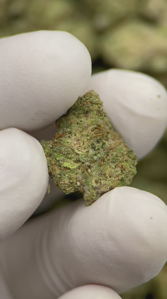 Grape Cookies