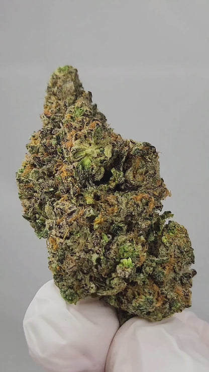 Platinum Lemon Gushers
