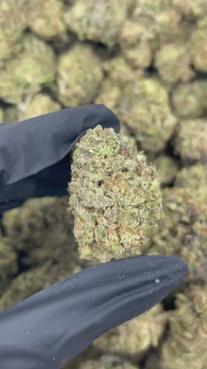 Apple Fritterz THCA Flower