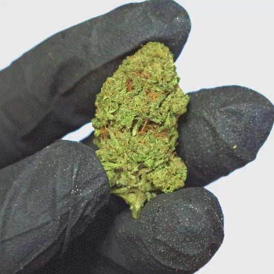 Blueberry