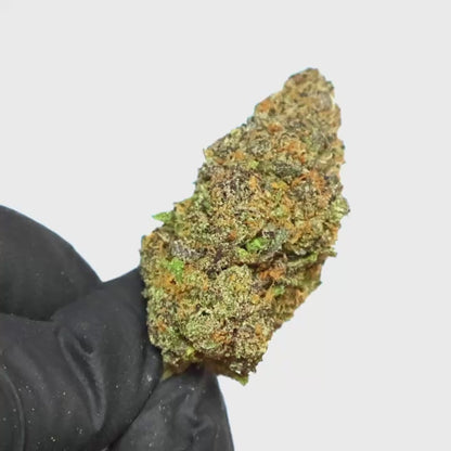 Blue Rhino