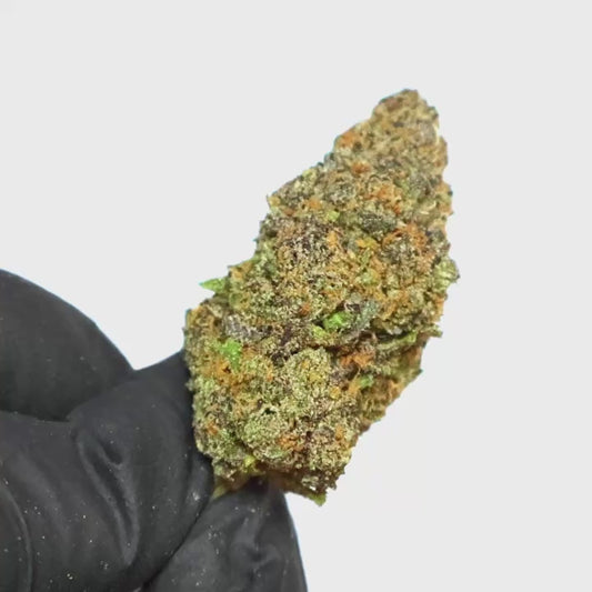 Blue Rhino