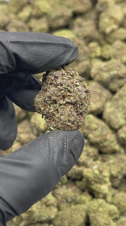 Pineapple Express THCA Flower