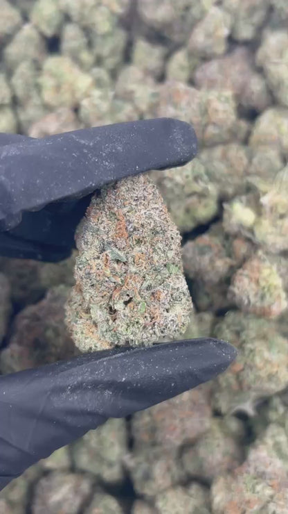 Pineapple Frost Byte THCA Flower