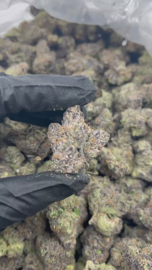 Candy Cutz THCA Flower