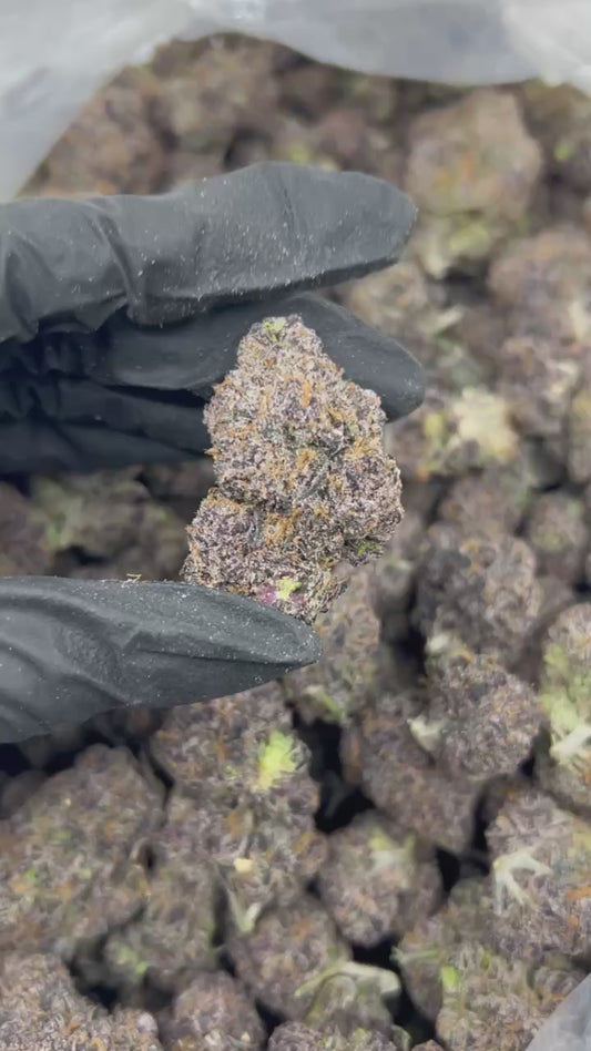 Black Cherry Gelato THCA Flower