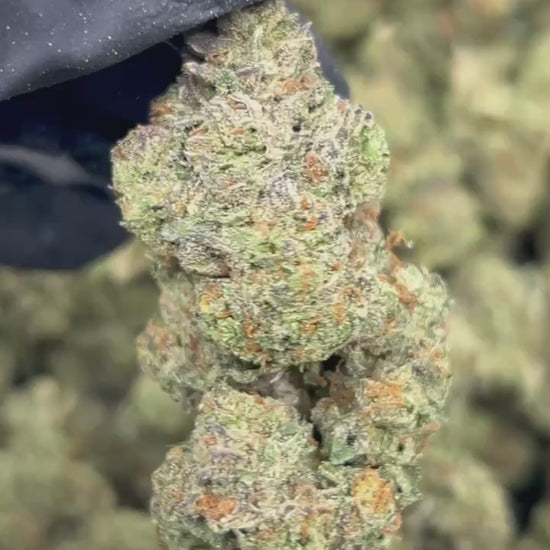 Zour Runtz THCA Flower