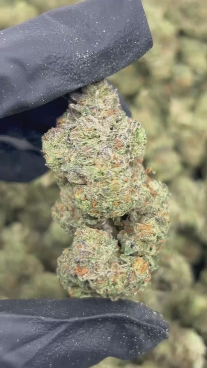 Zour Runtz THCA Flower