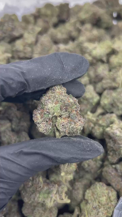 Pink Runtz THCA Flower