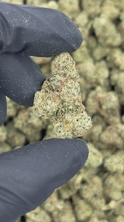 Trap Berry Kush THCA Flower