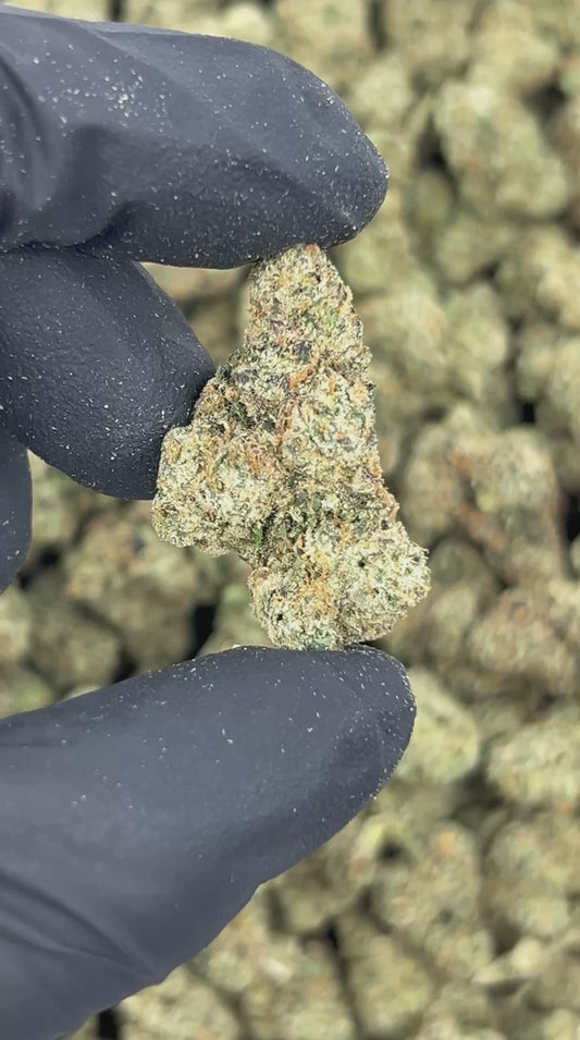 Trap Berry Kush THCA Flower