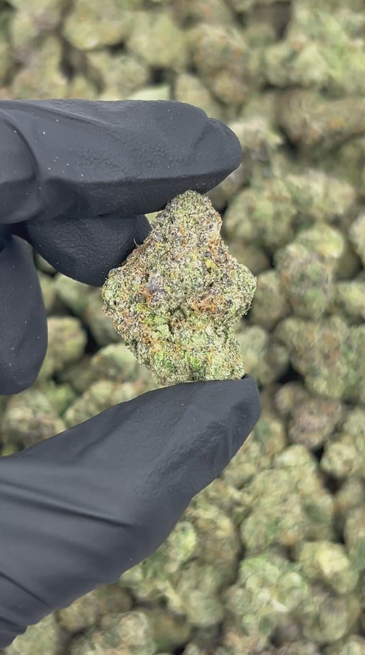 Blue Nerdz THCA Flower